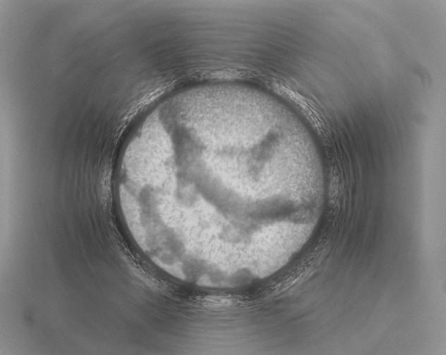 X0000115390394200912151504