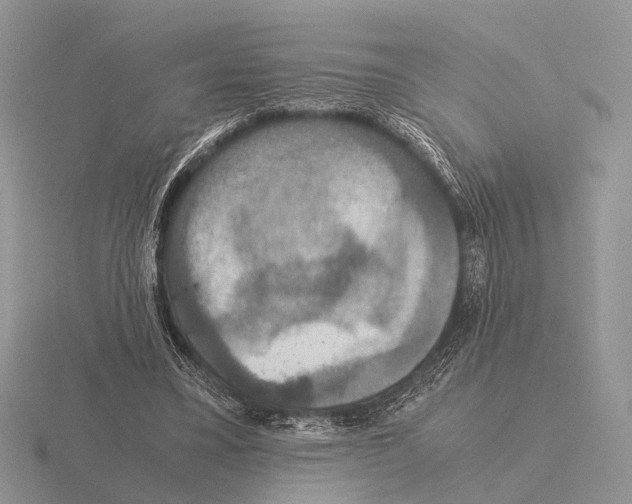 X0000115390395200912151504