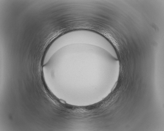 X0000115390397200912151504