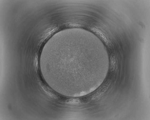 X0000115390398200912151504