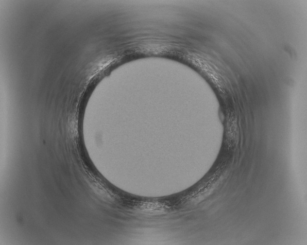 X0000115390399200912151504