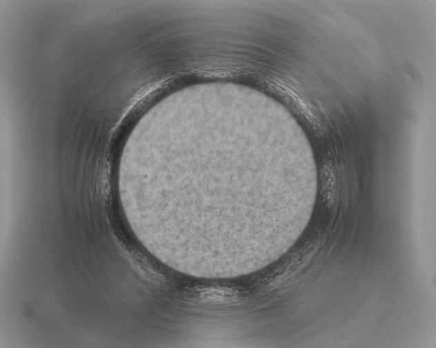 X0000115390400200912151504