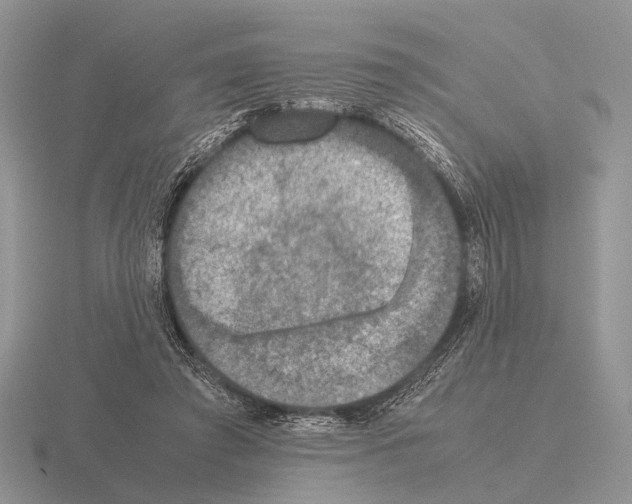 X0000115390401200912151504