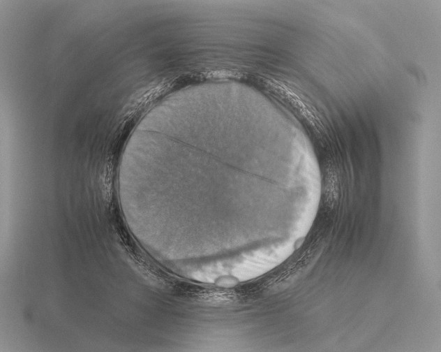 X0000115390402200912151504