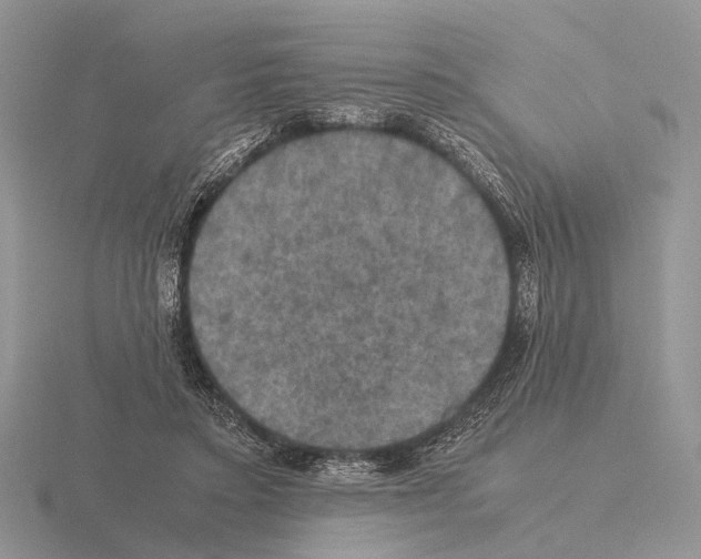 X0000115390403200912151504