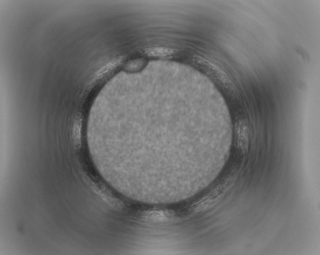 X0000115390404200912151504