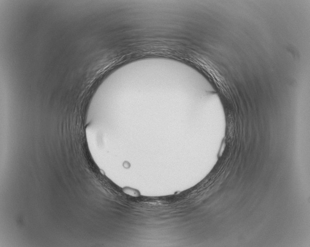 X0000115390411200912151503