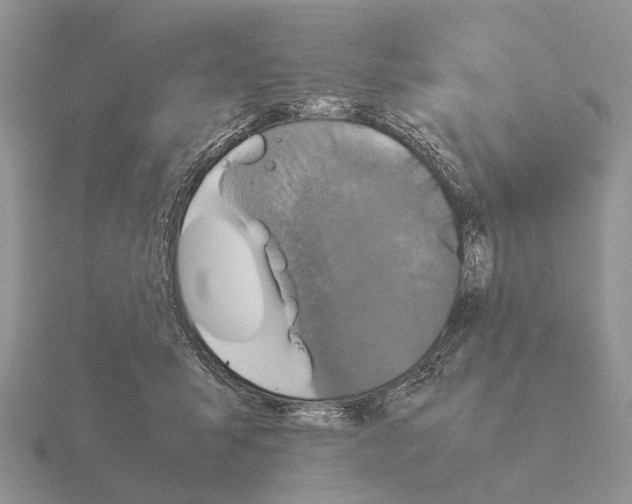 X0000115390415200912151503