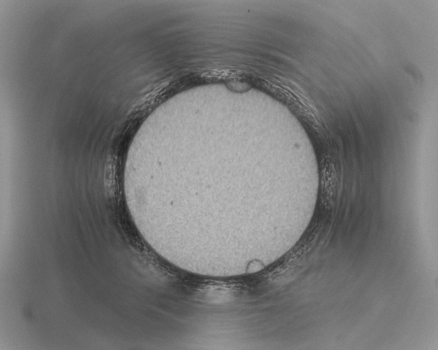 X0000115390416200912151503