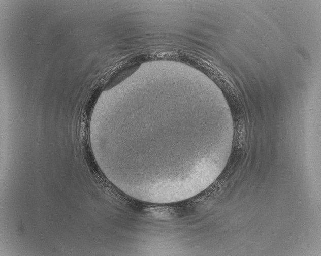 X0000115390417200912151503