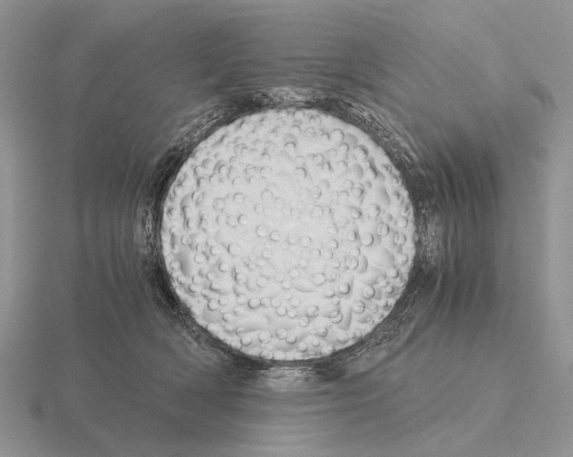 X0000115390418200912151503