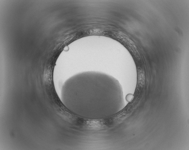 X0000115390419200912151503