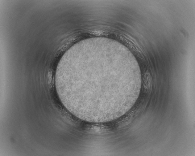 X0000115390420200912151503