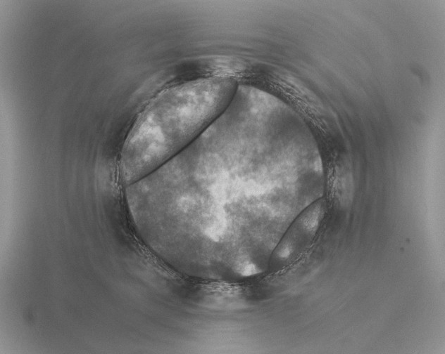 X0000115390421200912151503