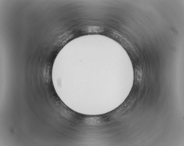 X0000115390422200912151503