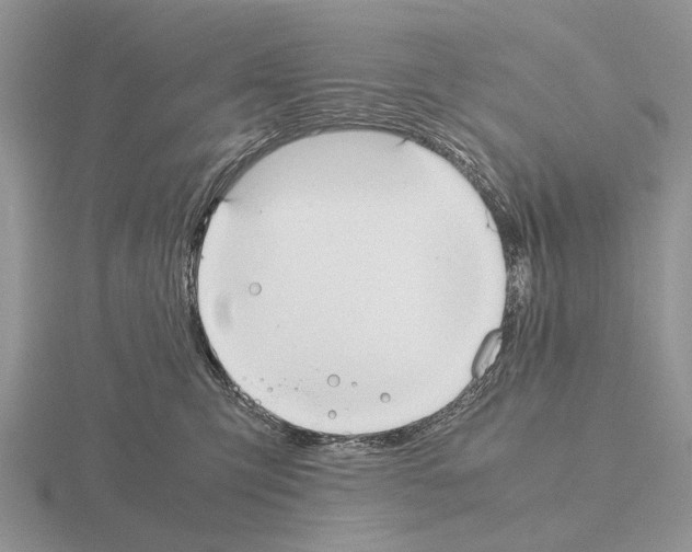 X0000115390423200912151503