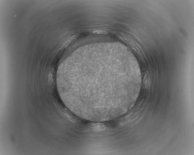 X0000115390424200912151503