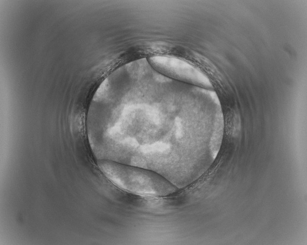 X0000115390425200912151503