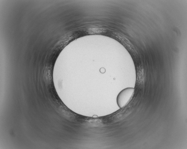 X0000115390426200912151503