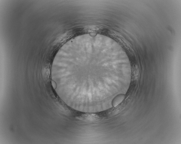 X0000115390427200912151503