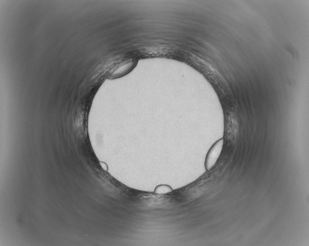 X0000115390428200912151503