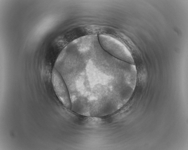 X0000115390429200912151503