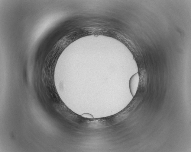 X0000115390430200912151503