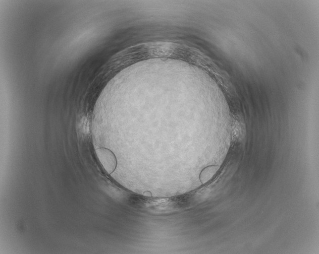 X0000115390431200912151503