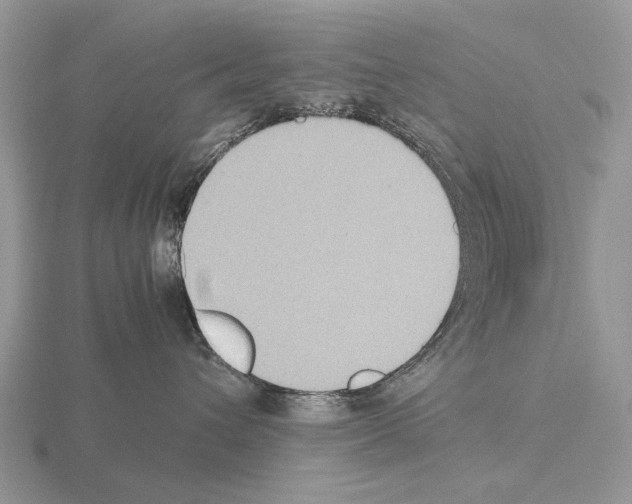 X0000115390432200912151503