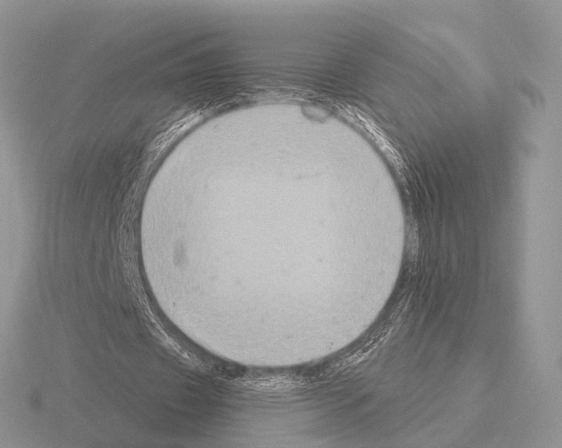 X0000115390433200912151503