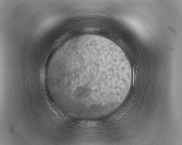 X0000115390435200912151503