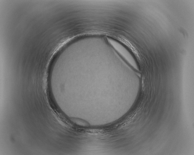 X0000115390436200912151503