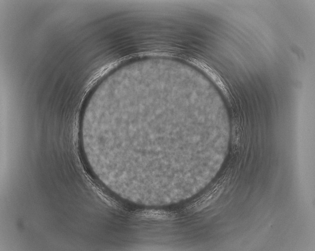 X0000115390437200912151503