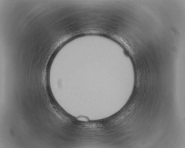 X0000115390439200912151503