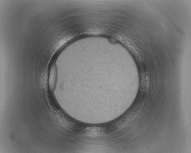 X0000115390440200912151503