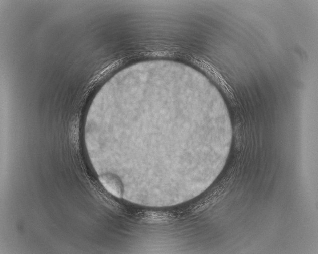 X0000115390442200912151503