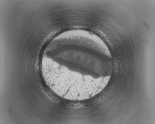 X0000115390443200912151503