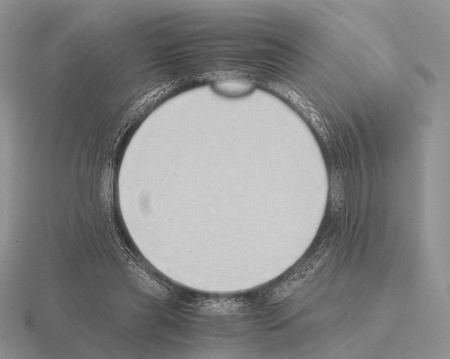 X0000115390445200912151503