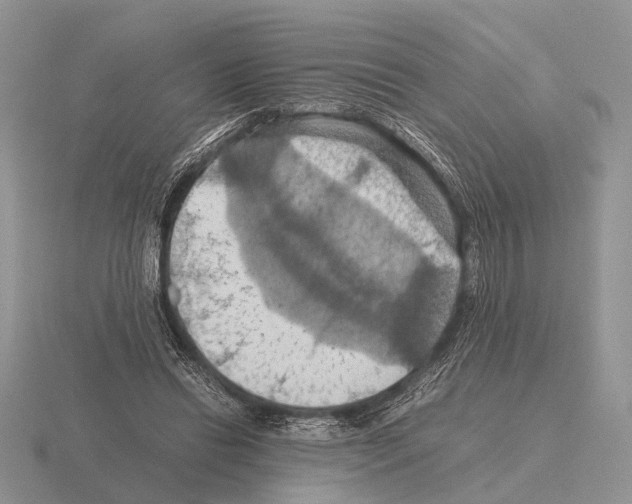 X0000115390446200912151503