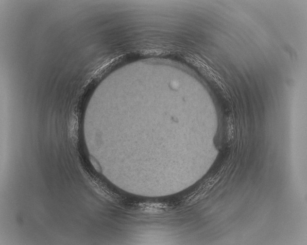 X0000115390448200912151503