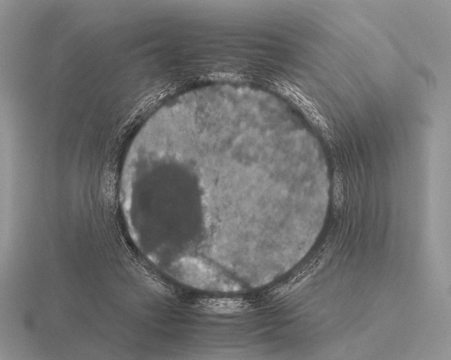 X0000115390449200912151503