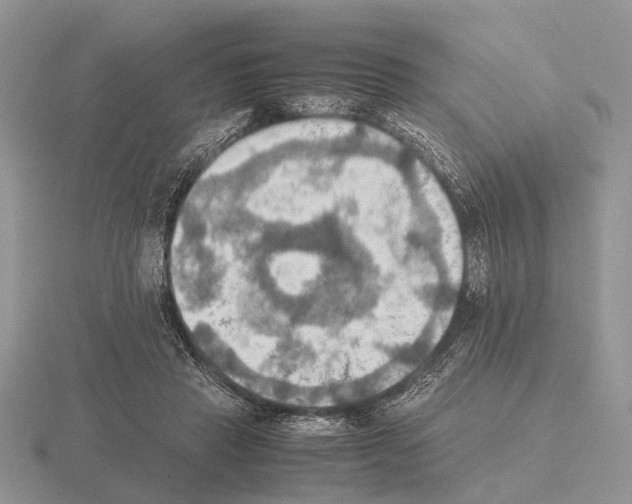 X0000115390453200912151503