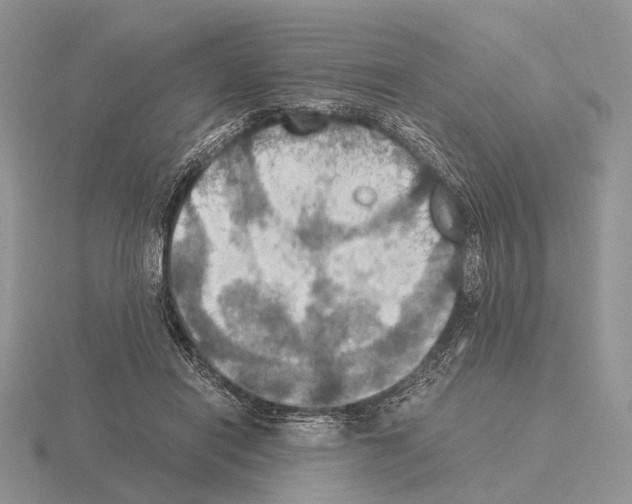 X0000115390454200912151503