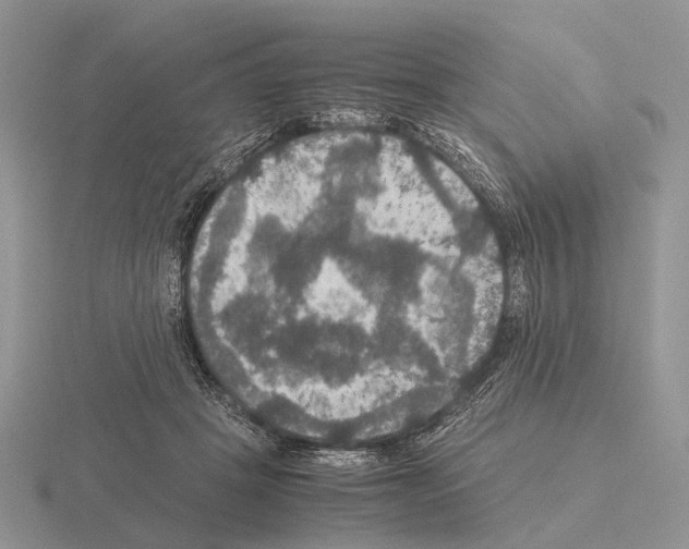 X0000115390457200912151503