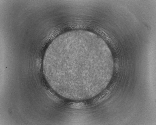 X0000115390458200912151503