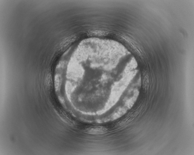 X0000115390459200912151503