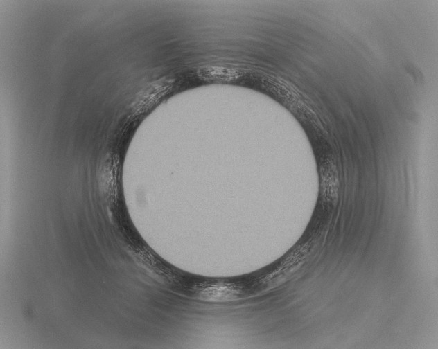 X0000115390460200912151503