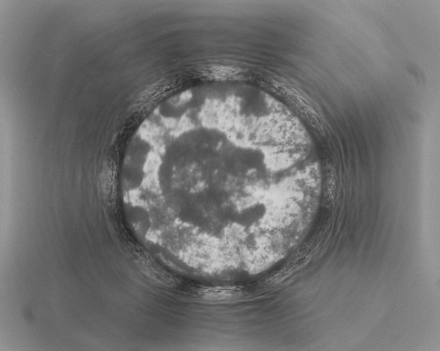 X0000115390461200912151503