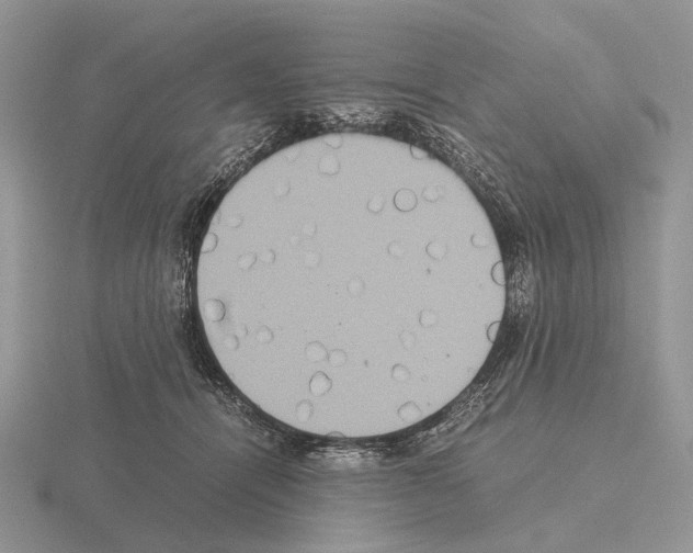 X0000115390464200912151503