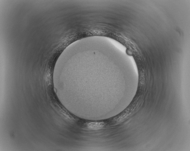 X0000115390465200912151503